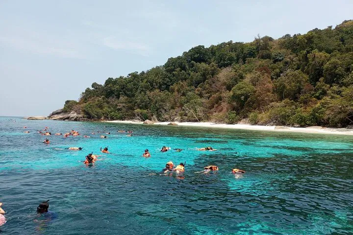 Discover Paradise: Phi Phi Islands & Maya Bay Speedboat Adventure from Krabi