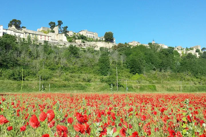 Avignon: Custom Half-Day Private Provence Tour