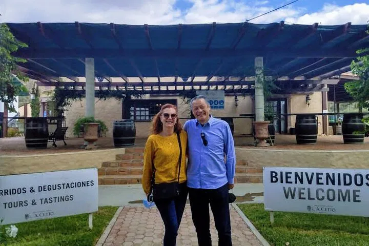 Discover Valle de Guadalupe: A Wine Lover's Dream