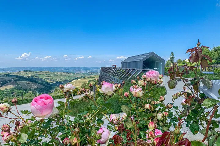 Unveiling Langhe's Culinary Treasures: A Private Foodie Wine Tour