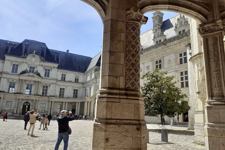 Loire Valley Majesty: Private Guided Tour of Blois & Chambord