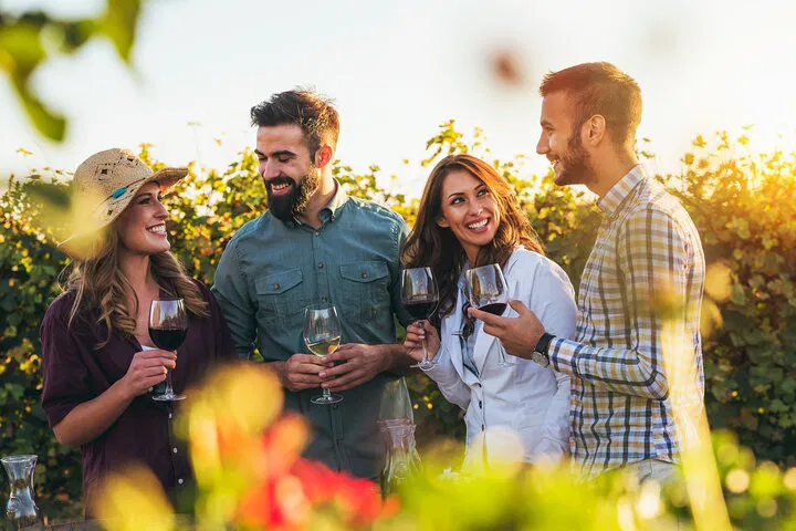 Uncork Berlin: A German Wine Tasting Adventure in the Historic Old Town!