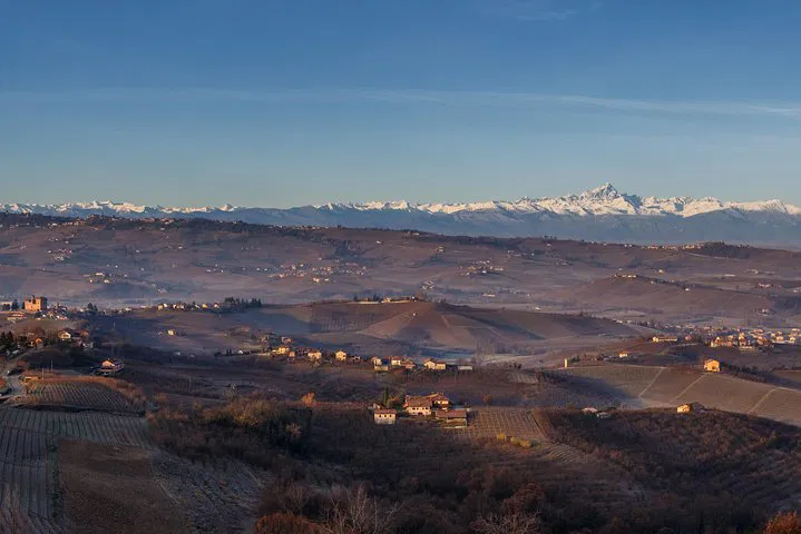 Unveiling Piedmont's Wine Magic: A Tailored Barolo & Barbaresco Journey