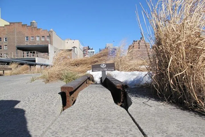 Discover the High Line: A Historical Walking Tour of New York's Elevated Park