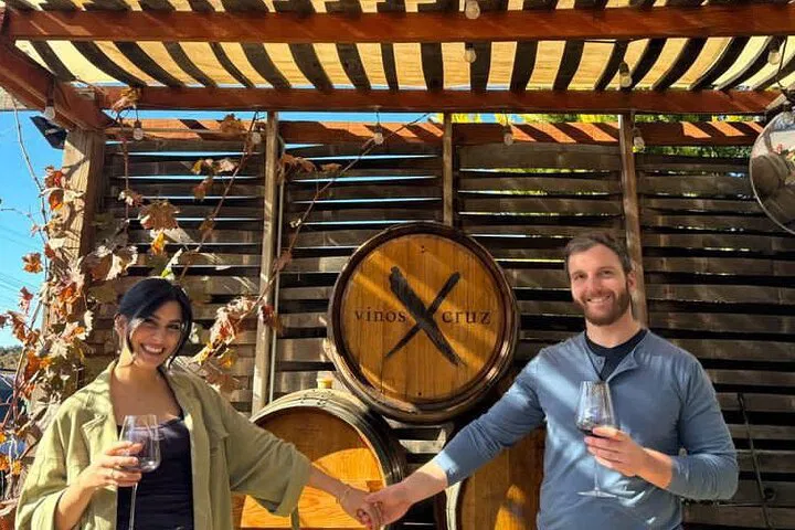 Unforgettable Valle de Guadalupe Wine Tour: Tailored for Two