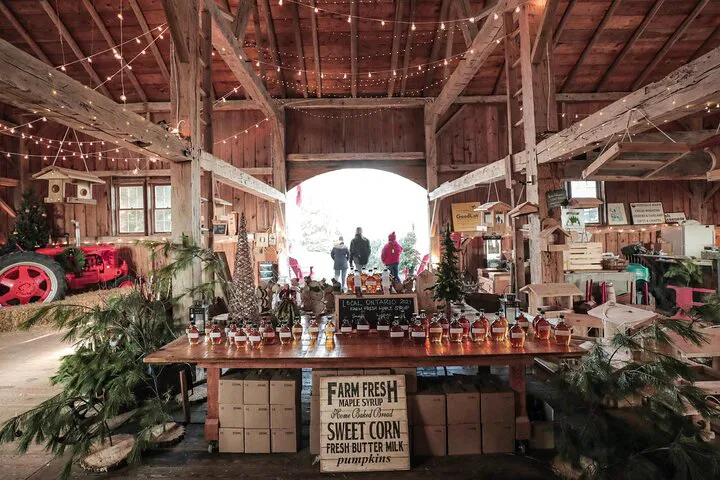 Unwrap Holiday Magic: Small Group Christmas Mystery Tour from Toronto!