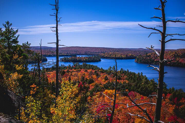 Algonquin Park Adventure: Unforgettable Canadian Wilderness Escape