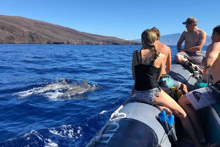 Maui Dolphin Watch: Raft Tour & Sightseeing Adventure