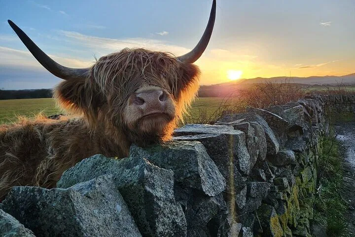 Discover Scotland's Majestic Highlands: A Personalized Private Tour from Glasgow