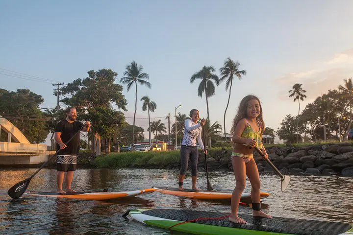 Glide with Sea Turtles: A Stand-Up Paddle Adventure on Anahulu Stream