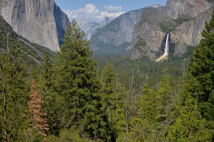 Yosemite 2-Day Private Tour: Giant Sequoias & Valley Views