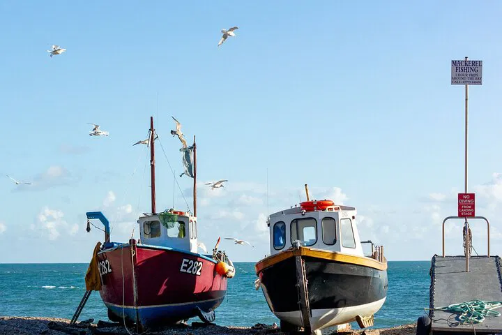 Devon Day Trip: Seaton Tram, Beer Village & Ladram Bay