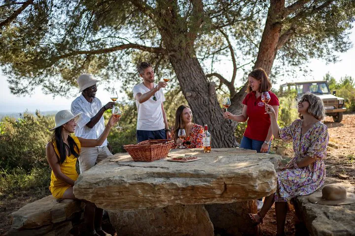 Saint-Tropez Wine Tour: Taste Provence's Best!