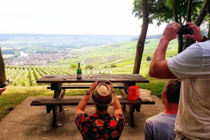 Uncover Champagne's Secrets: A Luxurious Reims Vineyard & Cellar Tour