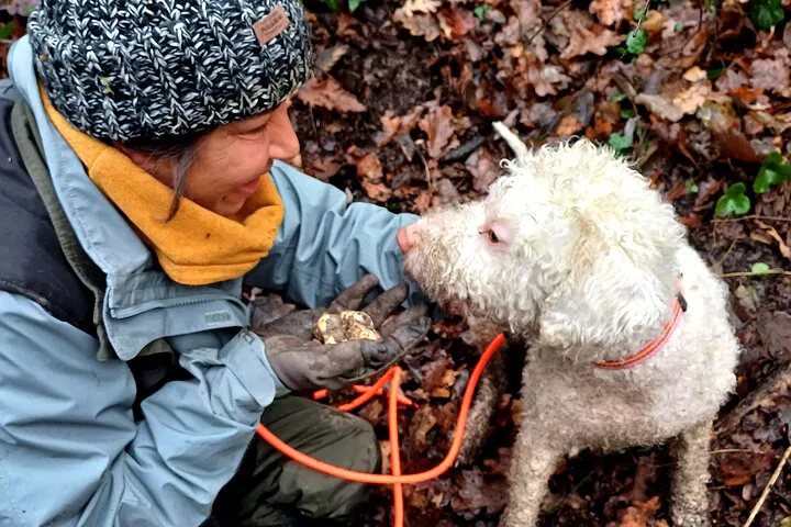 Unearth Culinary Gold: Truffle Hunting & Piedmont Feast!