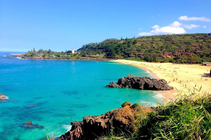 Oahu North Shore Private Custom Tour: 7-Mile Miracle!