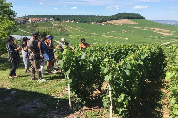 Champagne Dreams: An Exclusive Day Trip from Paris