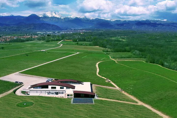 Nebbiolo Wine Tasting: Alto Piemonte Vineyard Experience