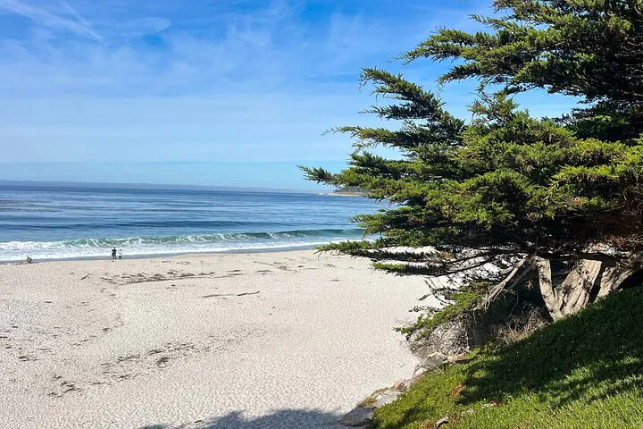 Big Sur & Hearst Castle 3-Day Private Tour