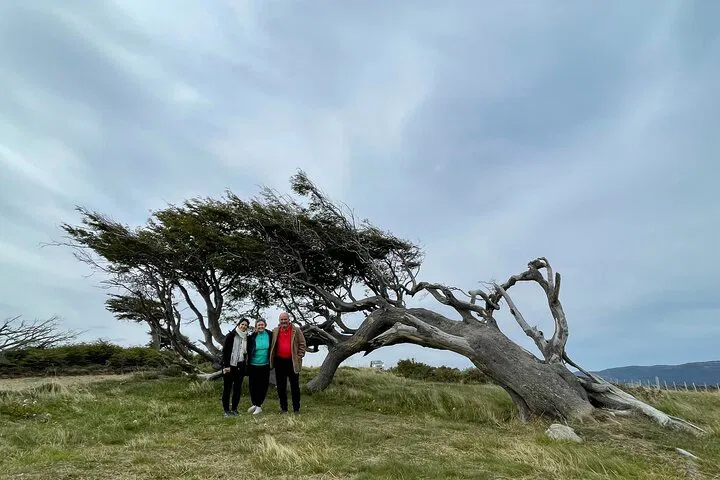 Unveiling Ushuaia's Hidden Gem: A Nature & Culinary Journey to Puerto Almanza