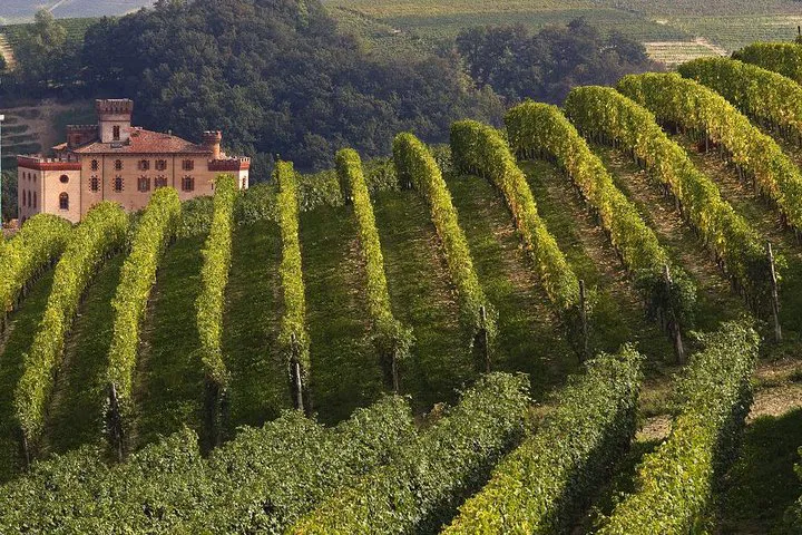 Unveiling Piedmont: A Luxurious Barolo Wine Tour from Turin