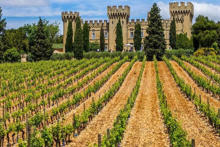 Unveiling Provence: A Luxurious Wine Tasting Journey from Marseille