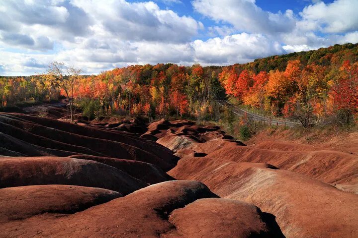 Escape Toronto: Private DriveSpa Tour with Scenic Lunch