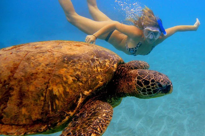 Maui Snorkel Adventure: Swim with Turtles from Ka'anapali!