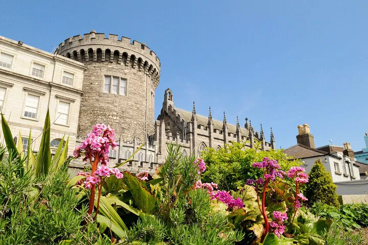 Unlock Dublin's Secrets: A Private Tour with Skip-the-Line Dublin Castle Access!