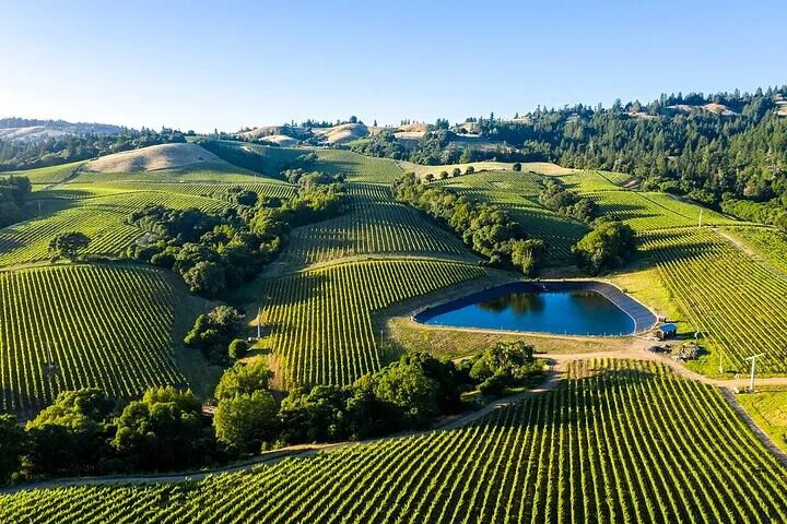 Unveiling Napa & Sonoma's Charm: A Private Wine Country Escape from Oakland