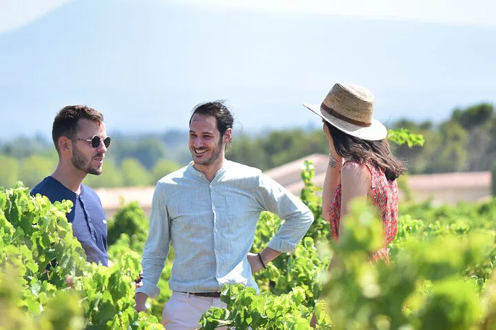 Savor the Terroir: Wine & Sensory Exploration at Châteauneuf-du-Pape