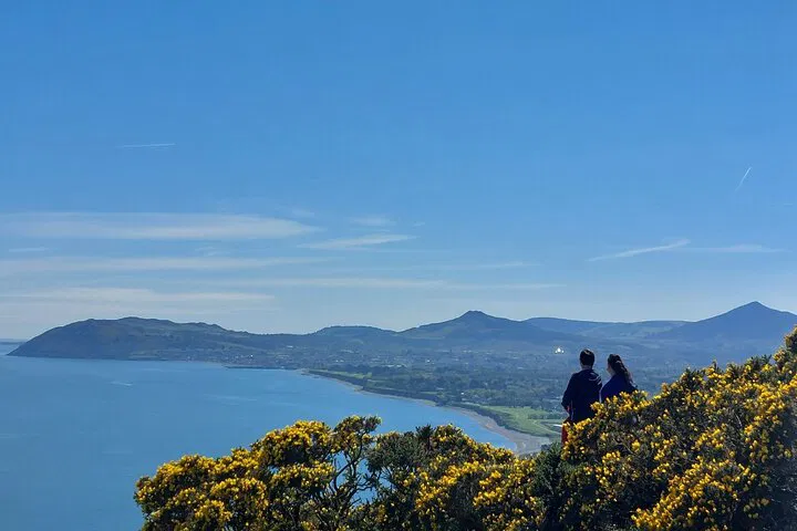 Dublin's Best: Private City & Suburbs Luxury Tour