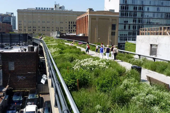 From Rails to Real Estate: A Private High Line & Hudson Yards Journey
