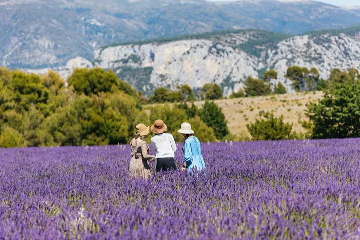 Verdon Gorge & Lavender Fields Private Tour from Nice