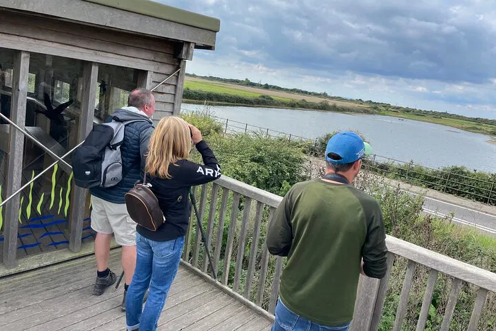 Unleash Your Inner Birder: A Private Sussex Birdwatching Adventure!