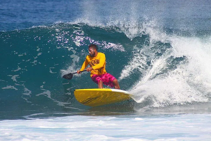 Elevate Your SUP Game: Semi-Private Paddleboard Lesson in Paradise