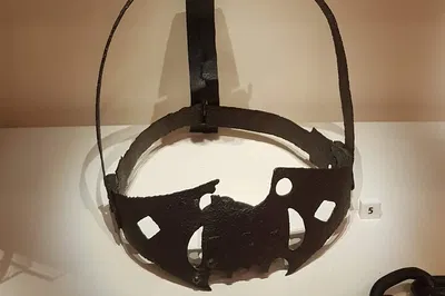Image 2