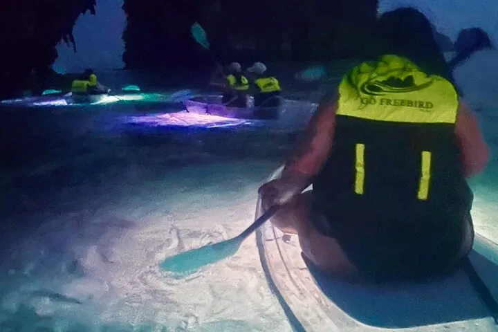Krabi's Bioluminescent Paddleboard Adventure: A Nighttime Stargazing Experience