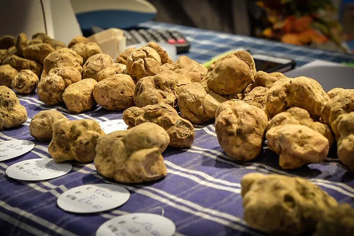 Alba Truffle Fair: Skip-the-Line Tour & Tasting