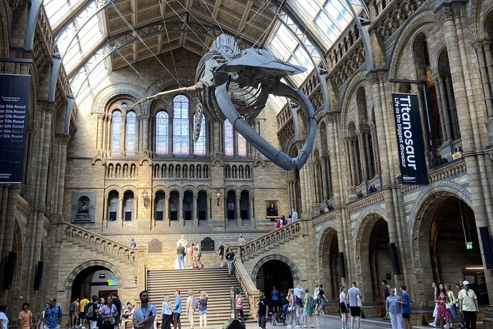 Unleash Your Inner Explorer: A Kid-Friendly Natural History Museum Adventure!