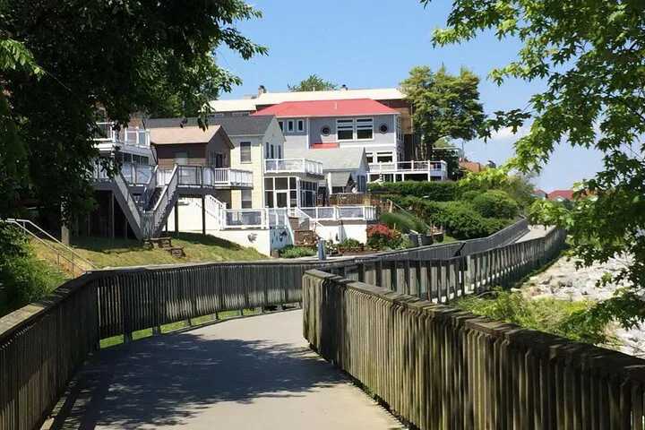 Discover Calvert Cliffs: A Guided Walking Tour of Chesapeake Beach
