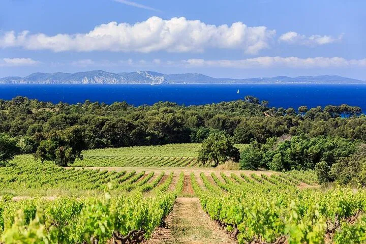 Provence Wine Tour: A Luxurious Day from Toulon Cruise Port