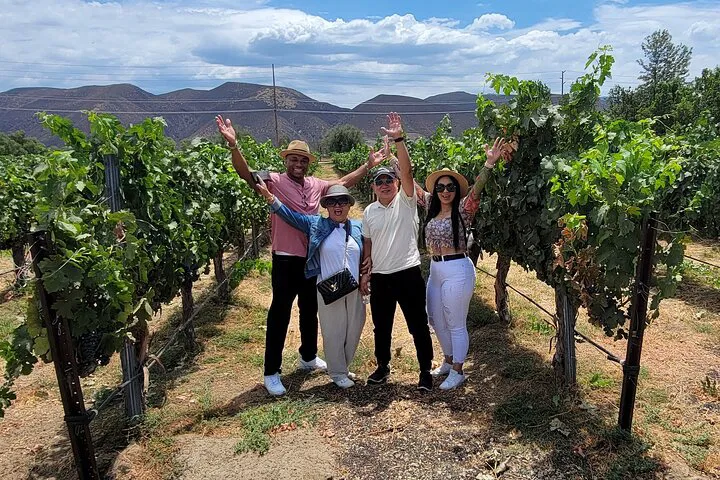 Temecula Wine Tour: Sip, Savor & Barrel Tastings!