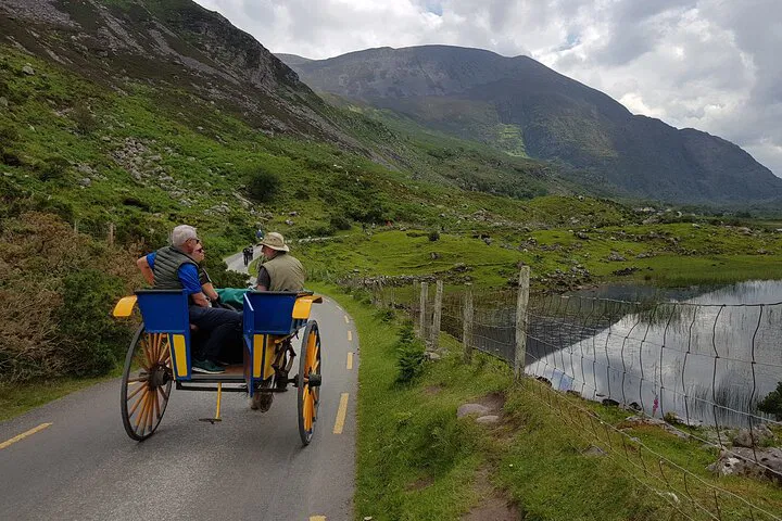 Killarney's Triple Delight: Bus, Boat & Jaunting Cart Adventure!