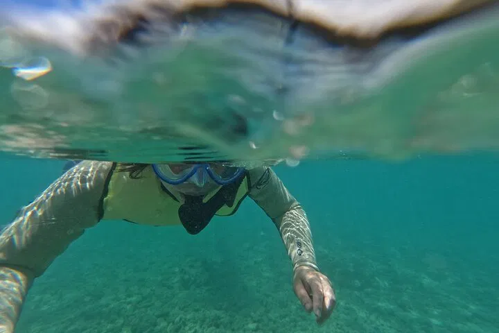 Hanauma Bay Snorkeling Tour: Waikiki Transport Included