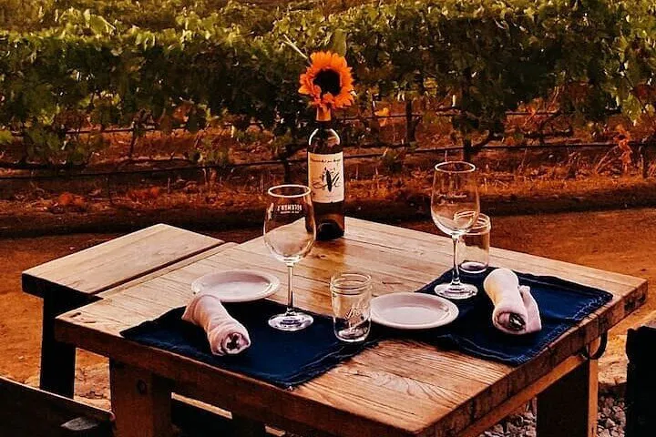 Luxury Wine Escape: Private Baja Tour with Exclusive Border Crossing
