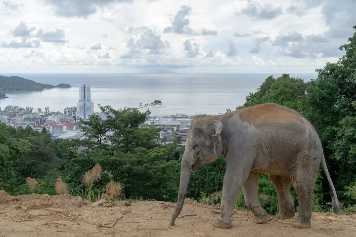 Unforgettable Sunrise at James Bond Island: A Luxury Longtail Adventure