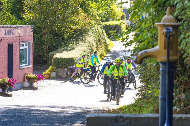 Lough Derg E-Bike Adventure: Explore Garrykennedy & Arra Hills