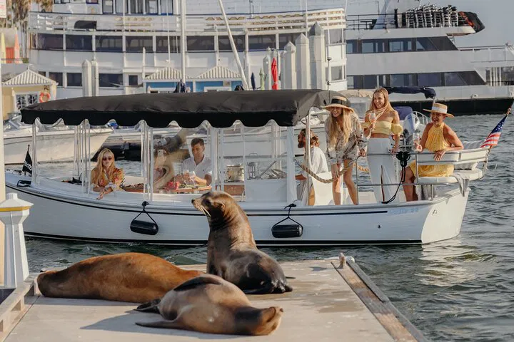 Sunset Sipping: Luxury E-Boat Cruise with Wine & Wildlife