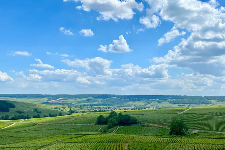 Champagne Tour: Private Ayala Cellars Trip from Paris